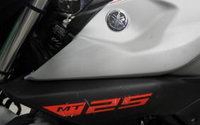YAMAHA MT-25 2009 RG43J