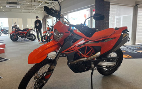 KTM 690 ENDURO R LEV40