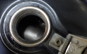 YAMAHA VIRAGO 250 3DM