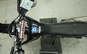 YAMAHA WR250X DG15J