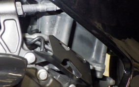 KAWASAKI NINJA 250 2 2021 EX250P
