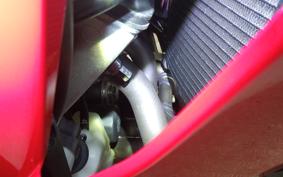 HONDA CBR600RR 2025 PC40