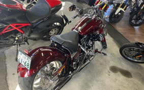 HARLEY  HARLEY FXCWC 2009 JK5