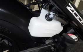 HONDA ZOOMER 2007 AF58