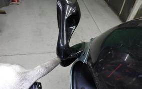 KAWASAKI ZZ-R250 EX250H