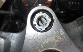 KAWASAKI ZZ-R250 EX250H