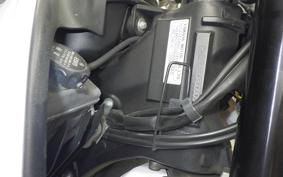 YAMAHA WR250X 2024