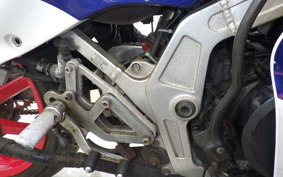 HONDA NS400R 1985 NC19