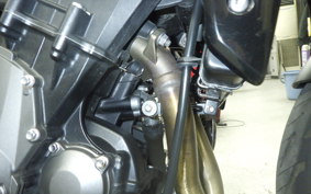 TRIUMPH TRIDENT 660 2025