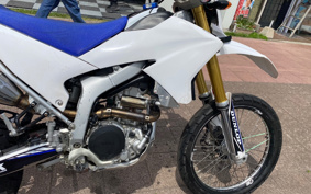 YAMAHA WR250R DG15J