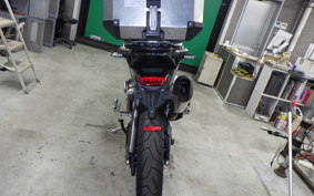 TRIUMPH TIGER 900 RALLY PRO 2022