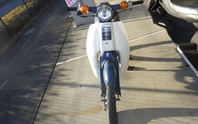 HONDA C50 SUPER CUB C50