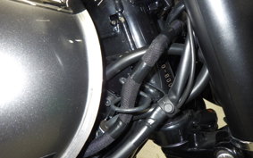 KAWASAKI W800 CAFE 2021