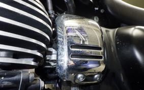 OTHER +ENFIELD ﾒﾃｵ350 2024