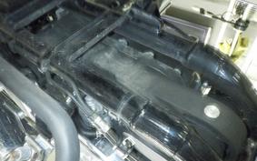 HARLEY XL1200CI 2015