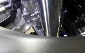 HONDA VFR800F 2019