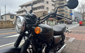 KAWASAKI W800 STREET 2021 EJ800B
