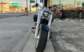 HARLEY FLFBS 2021 YGK