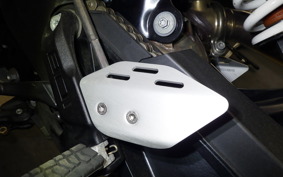 HUSQVARNA スバルトピレン801 2024