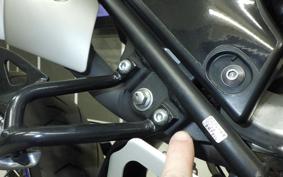 YAMAHA WR250X DG15J