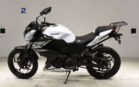 KAWASAKI Z250 2022 ER250C
