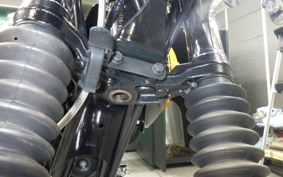 KAWASAKI W800 2016 EJ800A