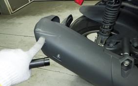 YAMAHA X FORCE 2010 SG79J