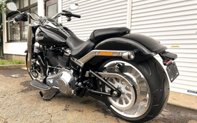 HARLEY FLFBS 2025 YGK