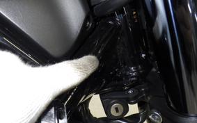 HONDA REBEL 1100 DCT 2024