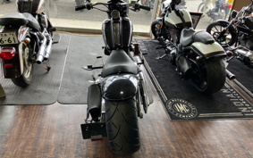 HARLEY FXCW 2008 JJ5