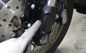 HARLEY FXLRST1920 2024