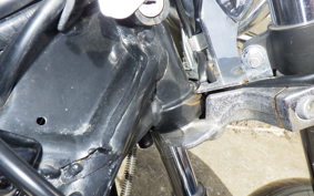 KAWASAKI ELIMINATOR 250 V
