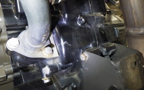 HUSQVARNA SVARTPILEN 250 2015