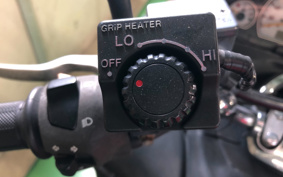 SUZUKI SKYWAVE 250 CJ43A