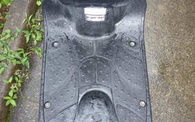 HONDA ZOOMER 2022 AF58