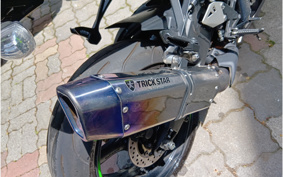 KAWASAKI NINJA ZX-10R 2019 ZXT00S