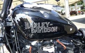 HARLEY L1200LI 2010