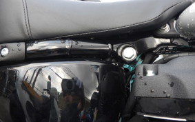 HARLEY FXLRST1920 2025