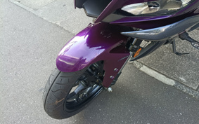 YAMAHA YZF-R25 RG74J