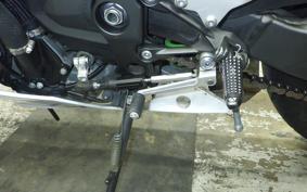 KAWASAKI NINJA ZX-6R A 2021 ZX636G