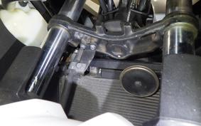 KAWASAKI NINJA 250 EX250L