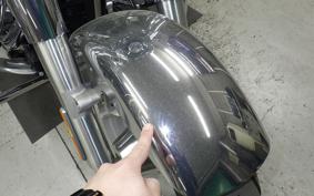 HARLEY FLSTFI1920 2025