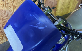 KAWASAKI SUPER SHERPA KL250G