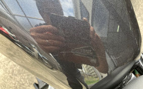 HONDA REBEL 1100 DCT 2024 SC83