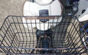 HONDA C50 SUPER CUB AA01