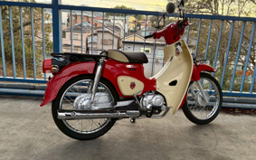 HONDA SUPER CUB110 JA44