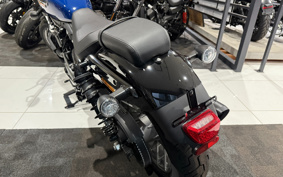 HARLEY RH975S NIGHT STAR 2023 ZF1