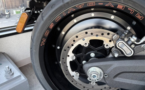 HARLEY FXDR114 2019 YVK