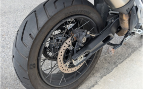 TRIUMPH TIGER 900 RALLY PRO 2024 TRE67D