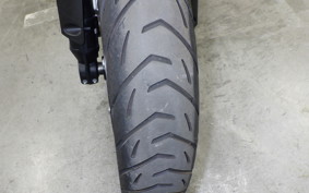 BMW R1300GS ASA 2025